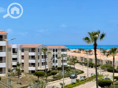 3 Bedroom Flat for Rent in North Coast, Matruh - IMG-20260526-WA0074. jpg