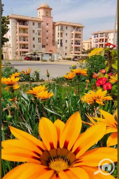 3 Bedroom Apartment for Sale in 6th of October, Giza - WhatsApp Image 2026-09-01 at 1.47. 52 PM. jpeg 3 Bedroom Apartment for Sale in 6th of October, Giza - WhatsApp Image 2026-09-01 at 1.47. 52 PM. jpeg