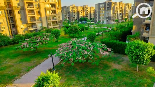 3 Bedroom Apartment for Rent in Sheikh Zayed, Giza - 1000864982. jpg