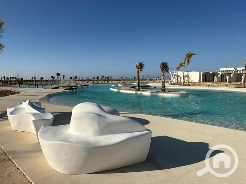 6 585047650. jpg
