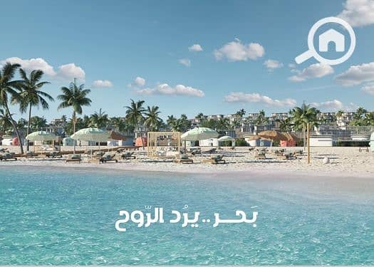 4 لقطة شاشة_29-8-2026_141432_. jpeg