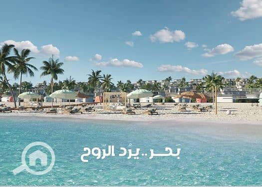 3 لقطة شاشة_29-8-2026_141432_. jpeg