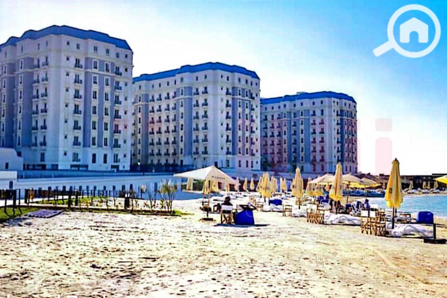 2 صور لاتينى-1. jpg