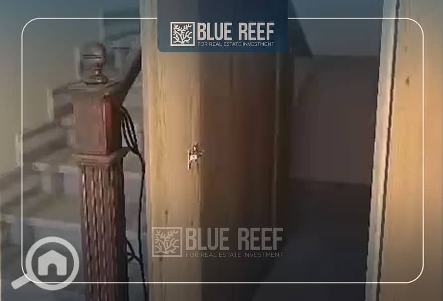 9 rfefrfr. jpg