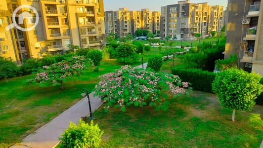 3 Bedroom Apartment for Rent in Sheikh Zayed, Giza - 1000864982. jpg