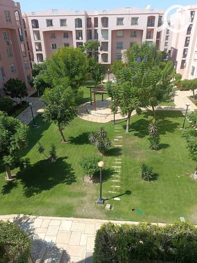 3 Bedroom Flat for Rent in New Cairo, Cairo - WhatsApp Image 2026-08-24 at 5.46. 14 PM (4). jpeg 3 Bedroom Flat for Rent in New Cairo, Cairo - WhatsApp Image 2026-08-24 at 5.46. 14 PM (4). jpeg