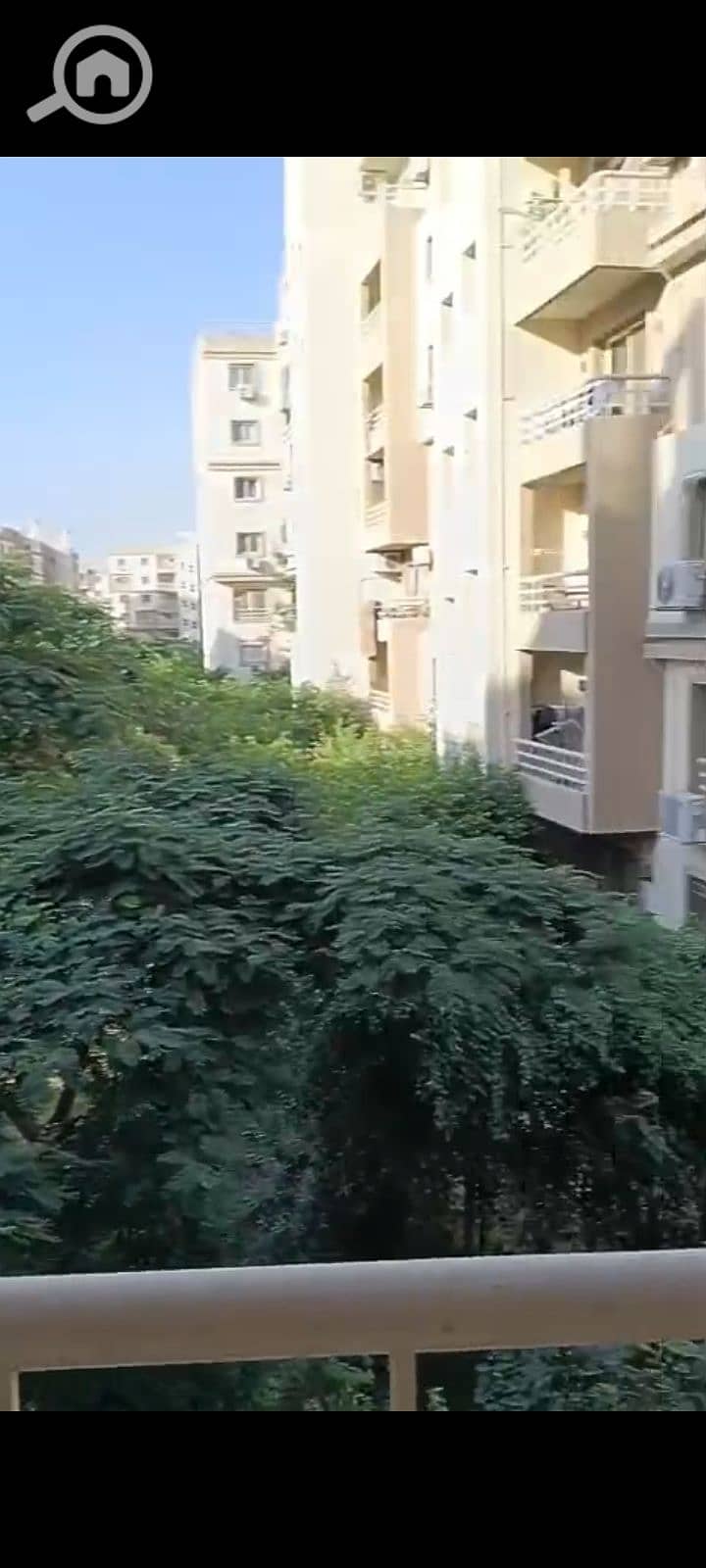 5 1000671951. jpg