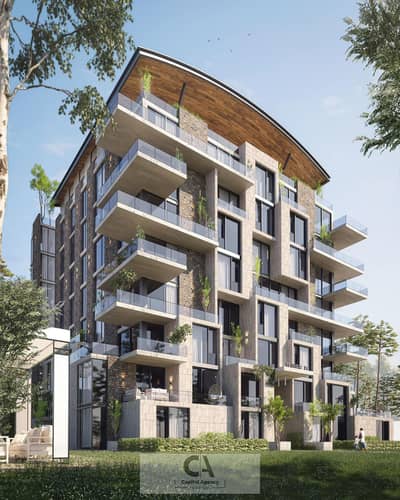 3 Bedroom Apartment for Sale in New Cairo, Cairo - WhatsApp Image 2024-09-09 at 1.17. 15 PM (1). jpeg 3 Bedroom Apartment for Sale in New Cairo, Cairo - WhatsApp Image 2024-09-09 at 1.17. 15 PM (1). jpeg