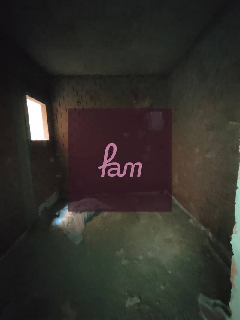 5 IMG20241105131956. jpg