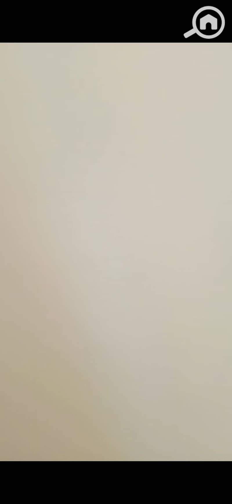4 211271. jpg