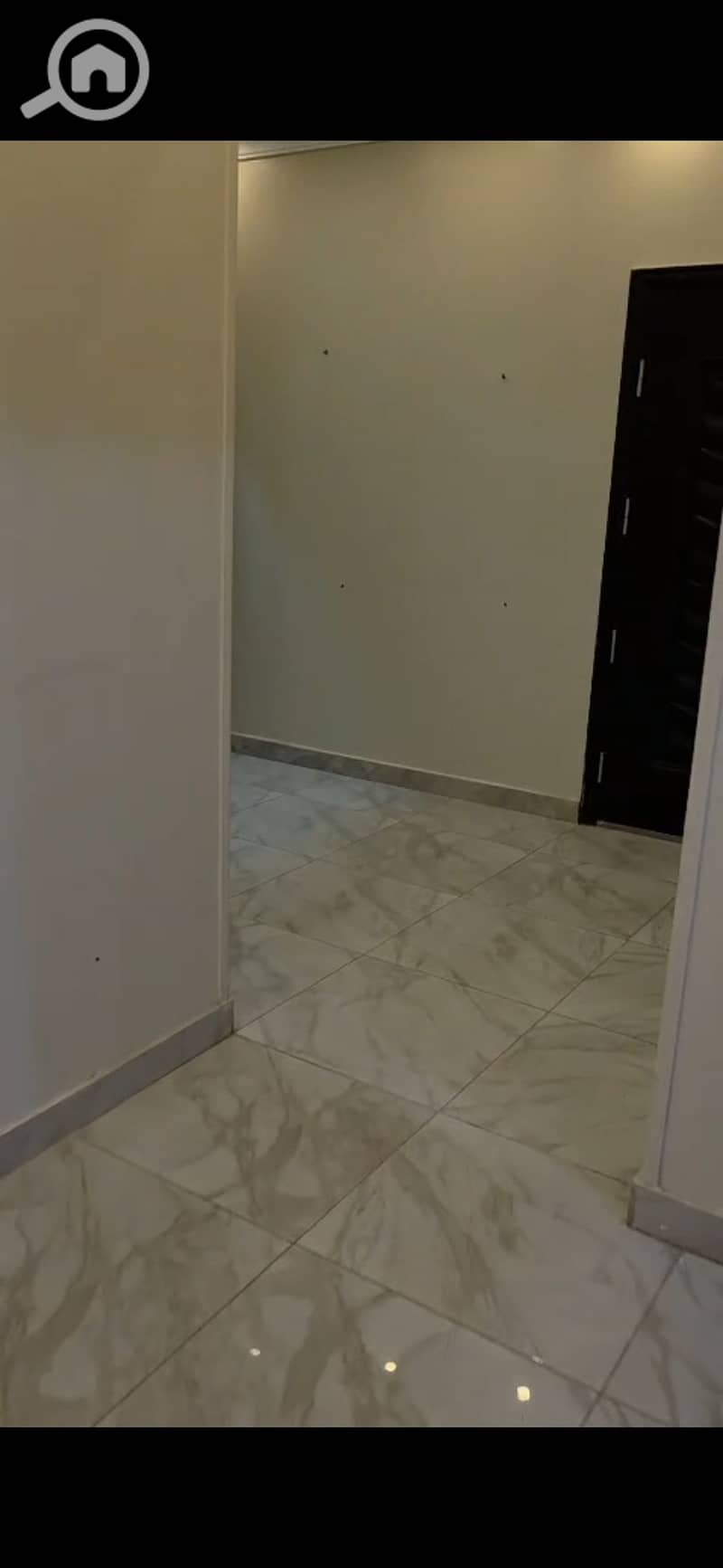3 211444. jpg