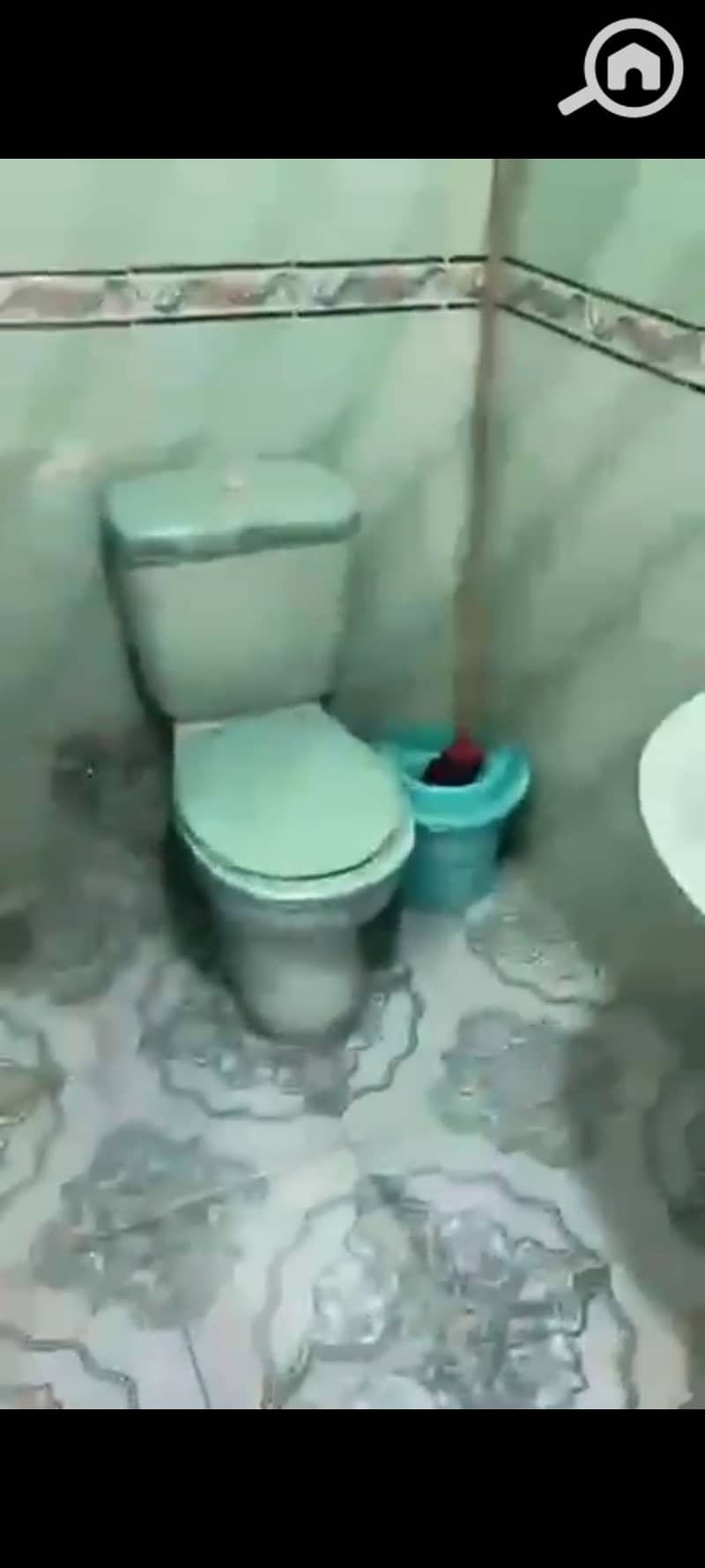 6 1000492484. jpg