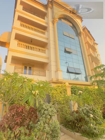 دوبلكس 3 غرف نوم للايجار في القاهرة الجديدة، القاهرة - 9a4c95ad-5e37-4fe9-a185-cb7d29590a08. jpeg