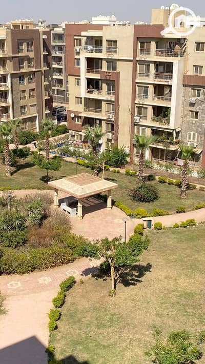 3 Bedroom Flat for Rent in New Cairo, Cairo - d50d4f34-30b3-4d95-bce0-354b8591155b. jpg 3 Bedroom Flat for Rent in New Cairo, Cairo - d50d4f34-30b3-4d95-bce0-354b8591155b. jpg