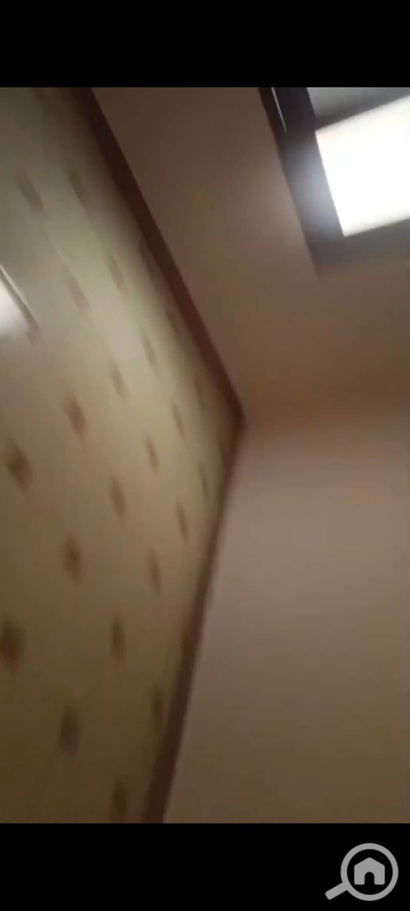 9 1000423965. jpg