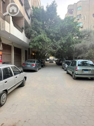 شقة 3 غرف نوم للبيع في المعادي، القاهرة - WhatsApp Image 2026-09-01 at 10.41. 42 PM (1). jpeg شقة 3 غرف نوم للبيع في المعادي، القاهرة - WhatsApp Image 2026-09-01 at 10.41. 42 PM (1). jpeg