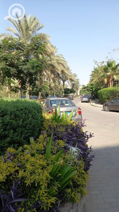 شقة 3 غرف نوم للايجار في القاهرة الجديدة، القاهرة - 105591. jpg