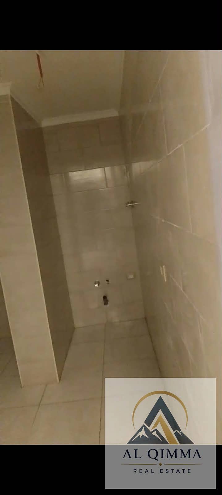 6 283786. jpg