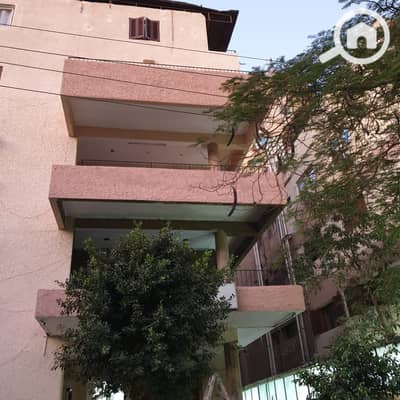 10+ Beds Other Residential for Sale in Heliopolis, Cairo - 39e57e3c-1388-4e2a-916d-b5e06548c3ea. jpg
