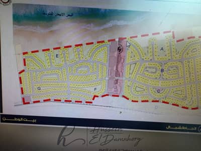أرض  للبيع في دمياط الجديدة، دمياط - IMG_8225. jpeg