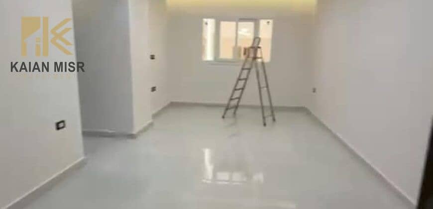 6 8068. jpg