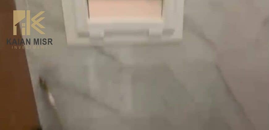 7 8069. jpg