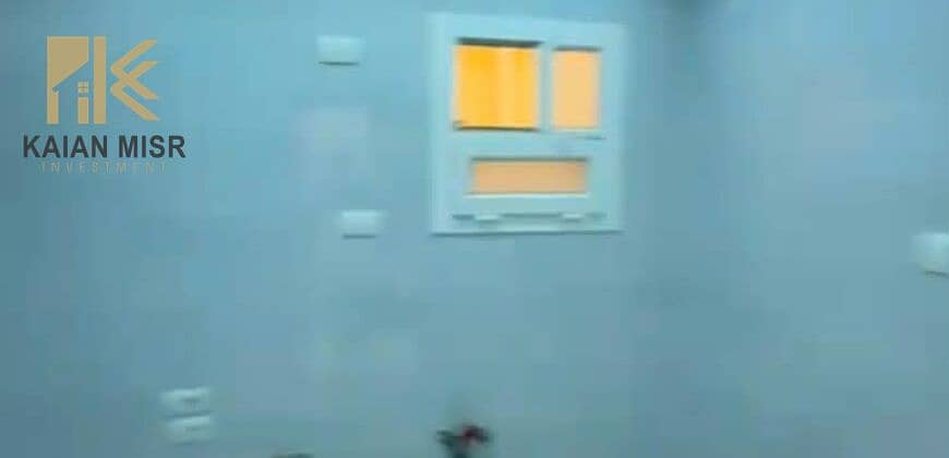 8 8065. jpg
