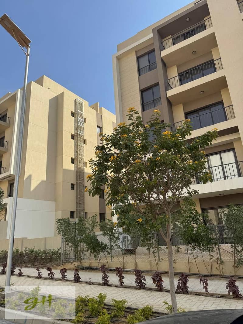 3 marassem (4). jpg