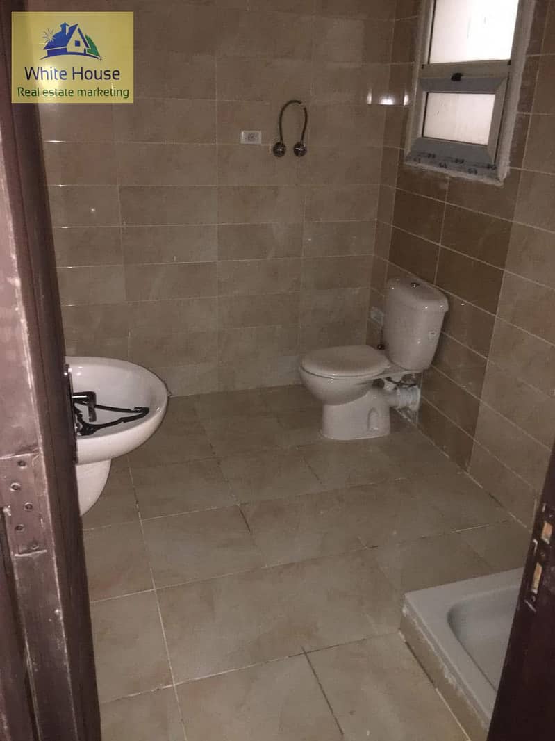 4 1000471494. jpg