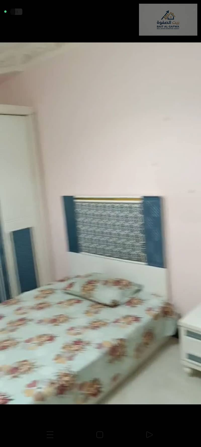 4 149599. jpg
