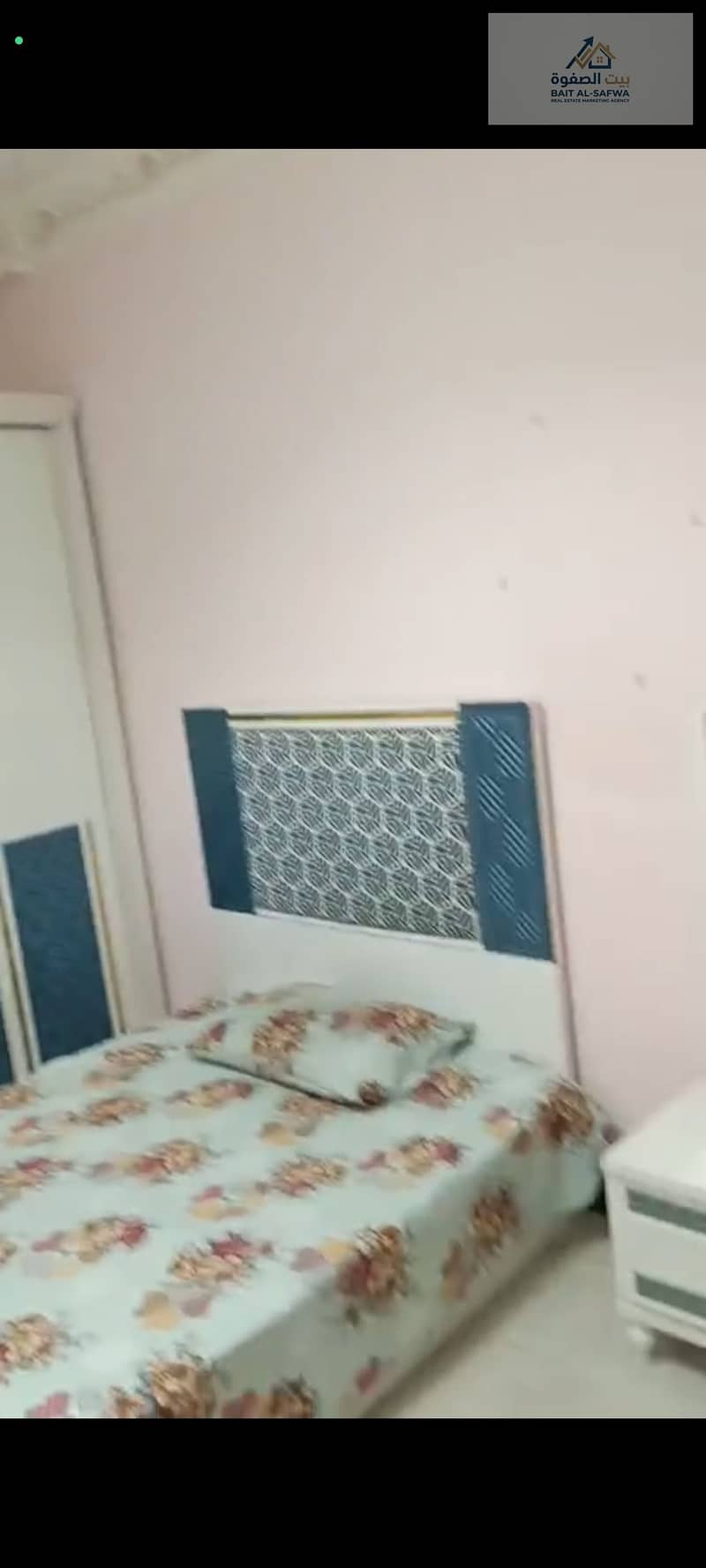 5 149600. jpg