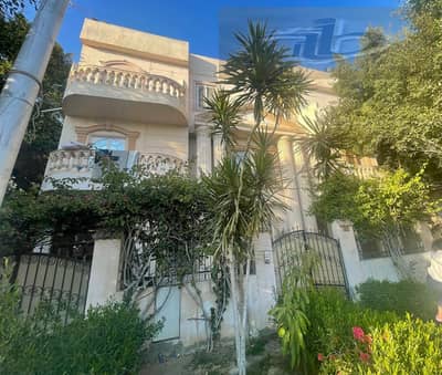 3 Bedroom Apartment for Sale in New Cairo, Cairo - 6740e5c4-b1d6-490e-8f61-a25d26b1d870. jpeg 3 Bedroom Apartment for Sale in New Cairo, Cairo - 6740e5c4-b1d6-490e-8f61-a25d26b1d870. jpeg