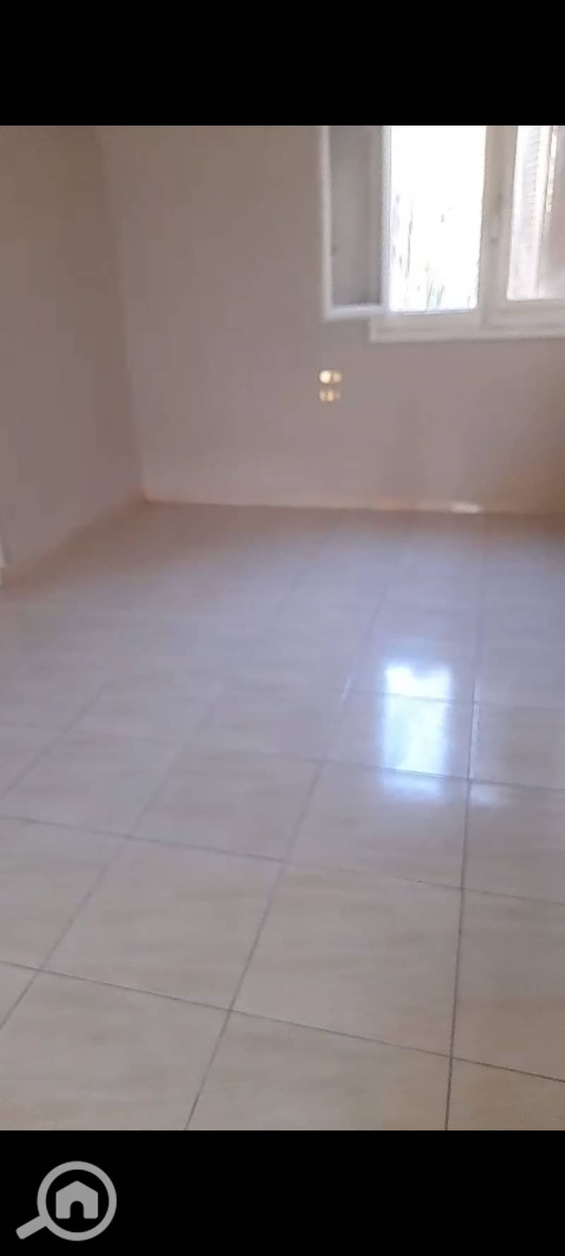 2 1001162053. jpg
