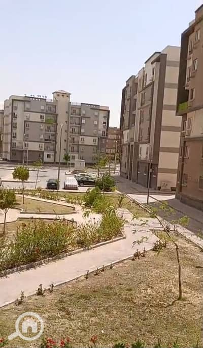 3 Bedroom Apartment for Sale in Badr City, Cairo - photo_5821272998420352931_y. jpg