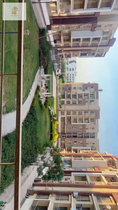 3 Bedroom Apartment for Rent in New Cairo, Cairo - WhatsApp Image 2026-09-01 at 3.35. 52 PM. jpeg 3 Bedroom Apartment for Rent in New Cairo, Cairo - WhatsApp Image 2026-09-01 at 3.35. 52 PM. jpeg