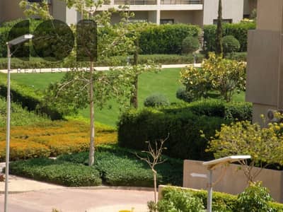 3 Bedroom Apartment for Sale in New Cairo, Cairo - WhatsApp Image 2026-08-23 at 12.06. 23 AM. jpeg