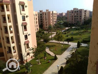 3 Bedroom Apartment for Rent in New Cairo, Cairo - 90م. jpg