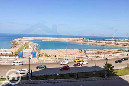 فلیٹ 5 غرف نوم للبيع في زيزينيا، الإسكندرية - WhatsApp Image 2026-08-26 at 9.32. 09 PM. jpg فلیٹ 5 غرف نوم للبيع في زيزينيا، الإسكندرية - WhatsApp Image 2026-08-26 at 9.32. 09 PM. jpg
