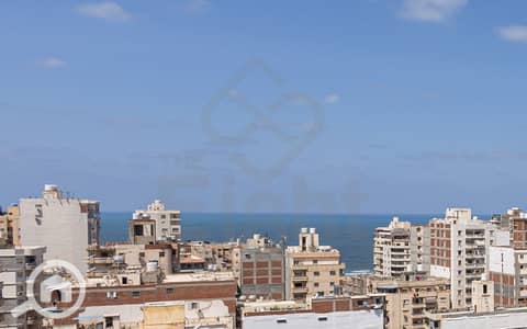 3 Bedroom Apartment for Sale in Miami, Alexandria - 1- (02). jpeg