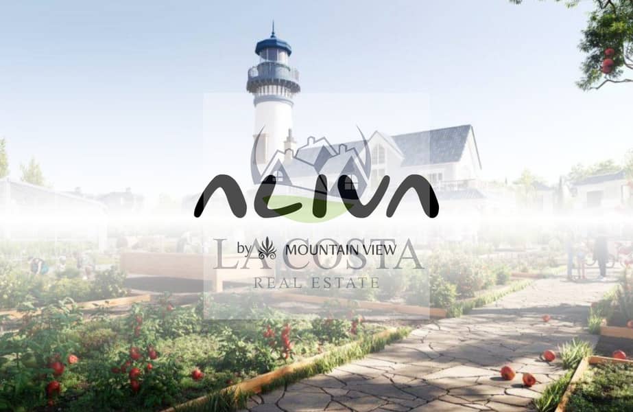 7 Aliva-news-scaled. jpg