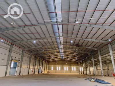 Factory for Rent in Badr City, Cairo - 67232495_1559294654207257_8702827760130719744_n_9240e61439294ee7884c78d012540bc7. jpg