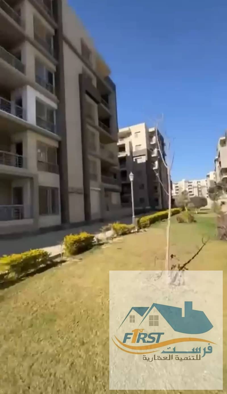 7 1000193438. jpg