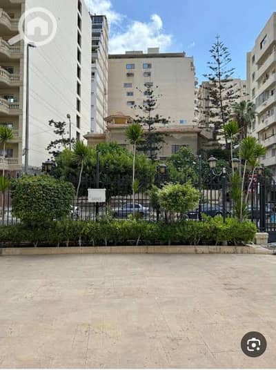 4 Bedroom Flat for Rent in Zizinia, Alexandria - 1000369702. jpg 4 Bedroom Flat for Rent in Zizinia, Alexandria - 1000369702. jpg