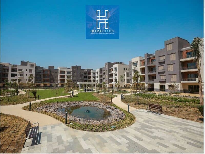 2 DF. jpg