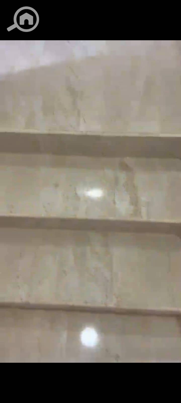 8 1000087944. jpg
