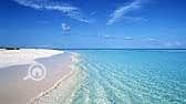 2 WhatsApp Image 2026-08-16 at 12.43. 46 PM (3). jpeg