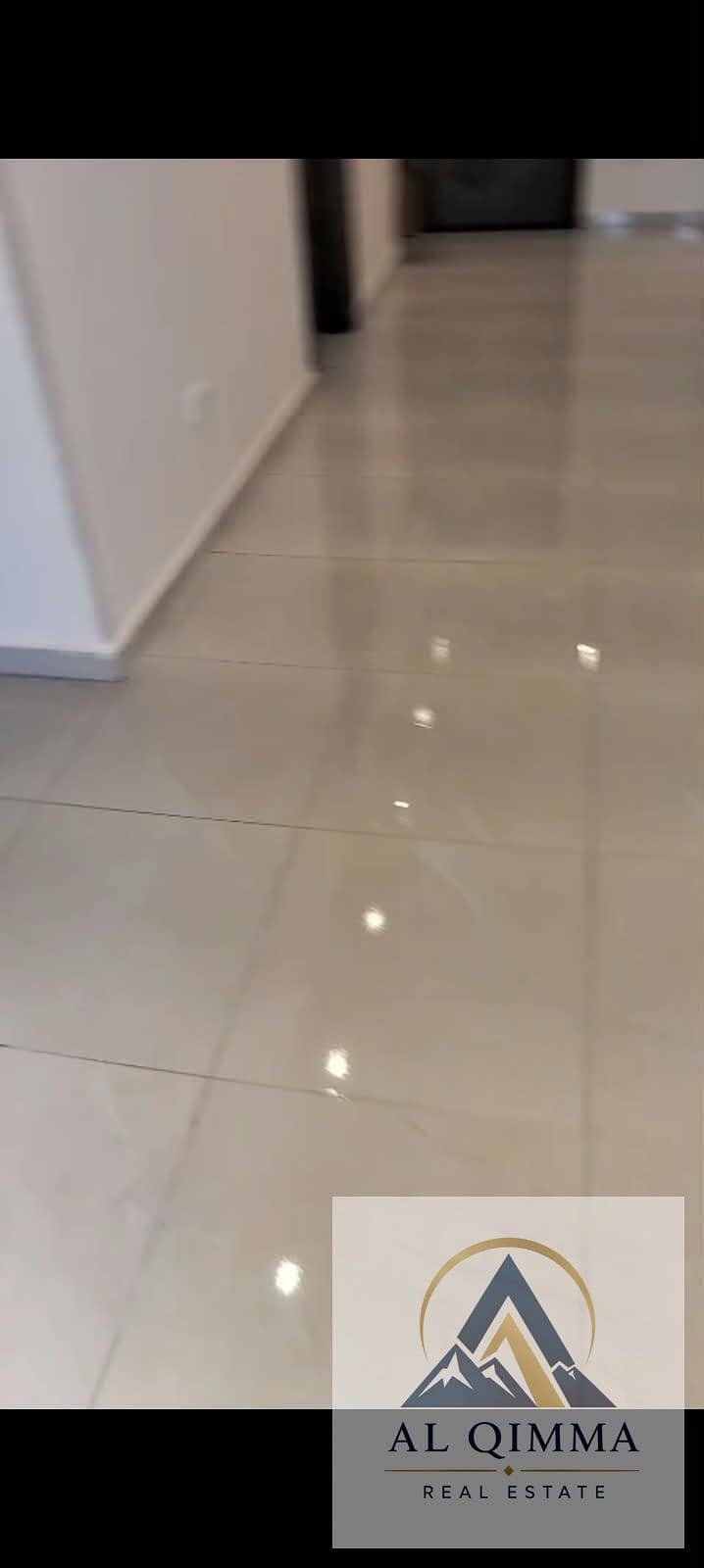 5 284388. jpg