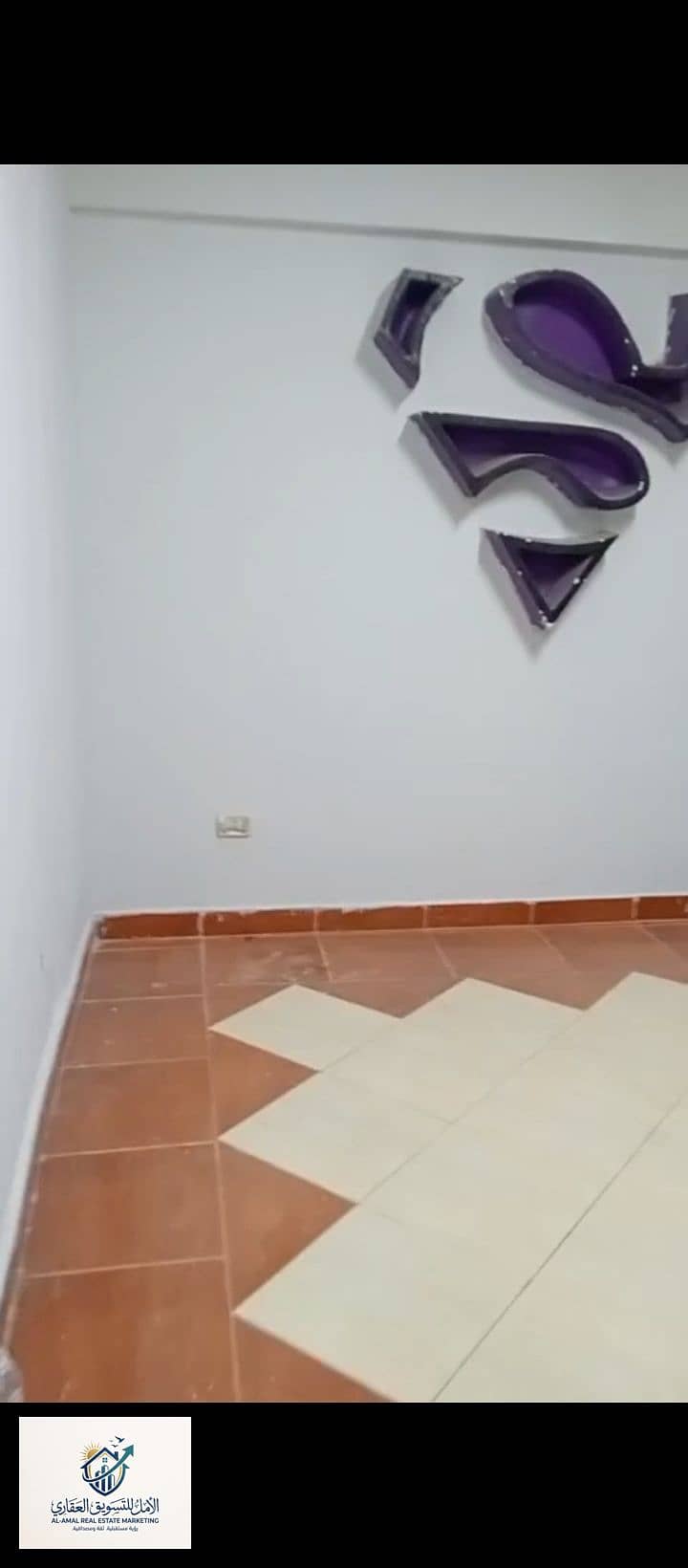 11 1000268533. jpg