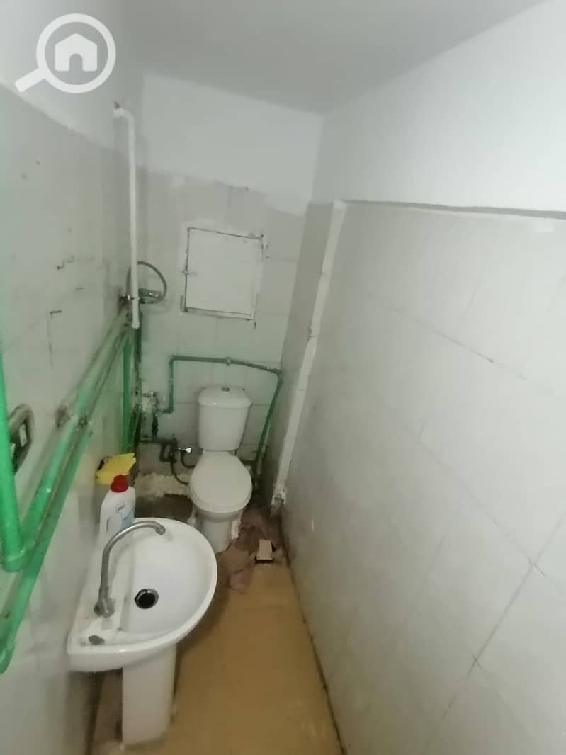7 208027. jpg