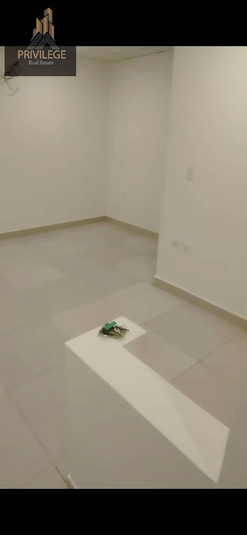 3 1000206222. jpg